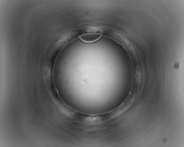 X0000102340375200808011146