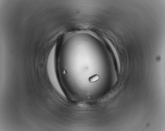 X0000102340376200808011146