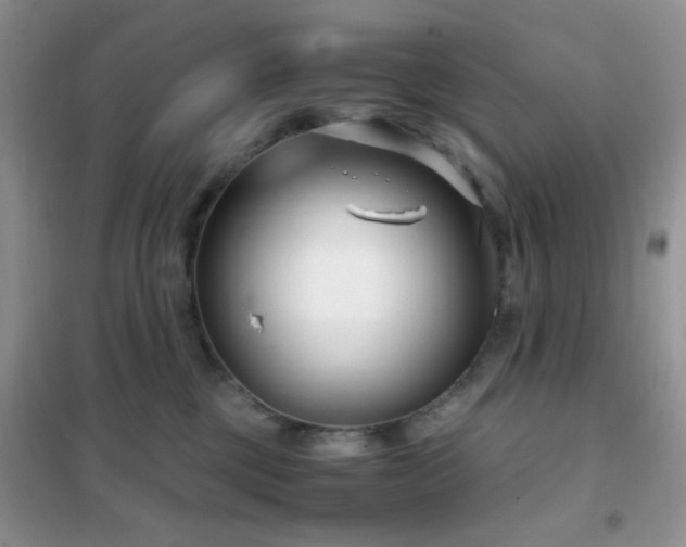 X0000102340377200808011146