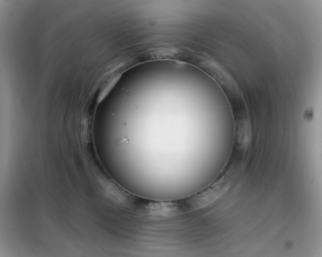 X0000102340378200808011146