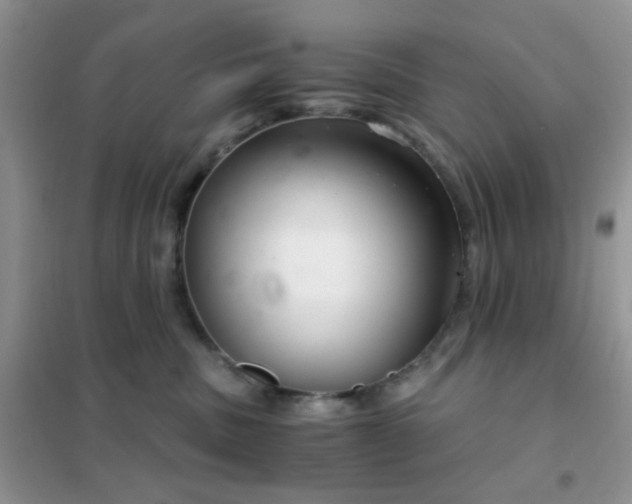 X0000102340379200808011146