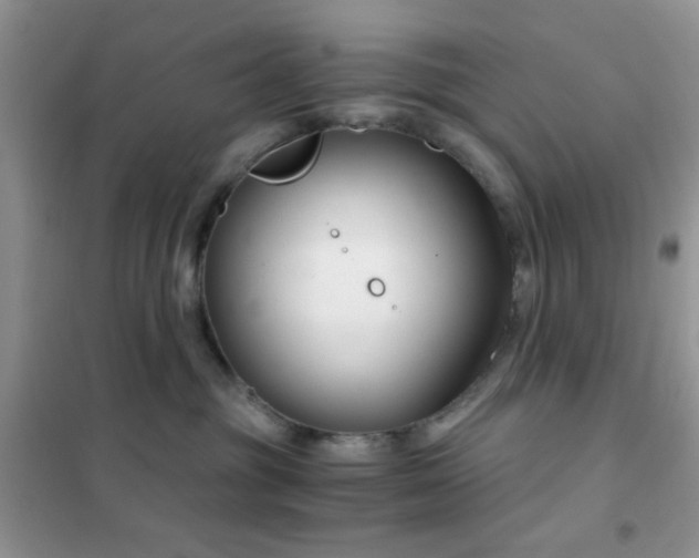 X0000102340381200808011146