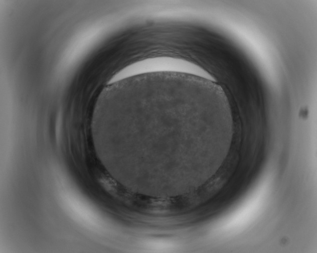 X0000102340382200808011146