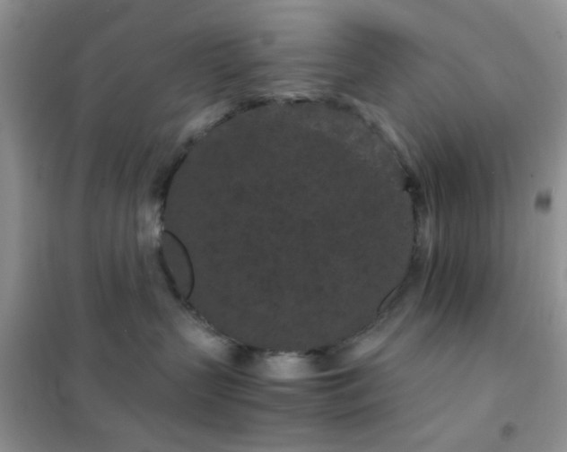 X0000102340383200808011146