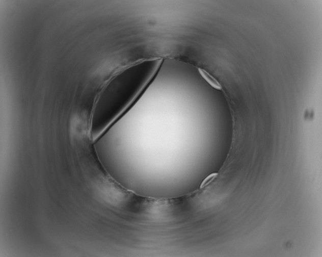 X0000102340384200808011146