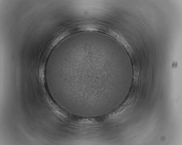 X0000102340386200808011146