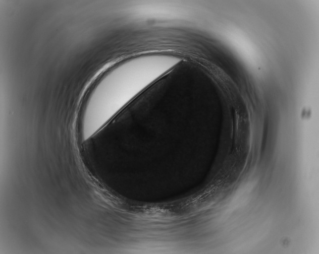 X0000102340387200808011146