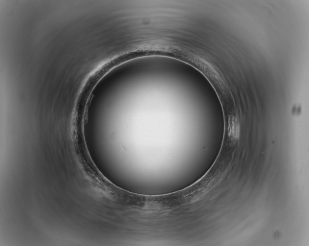 X0000102340388200808011146