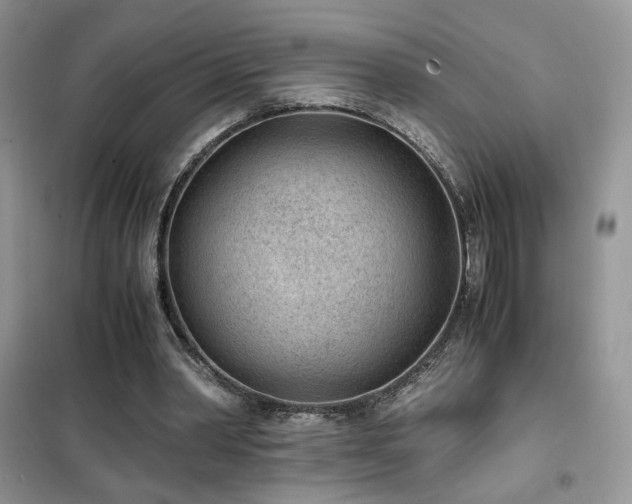 X0000102340390200808011145