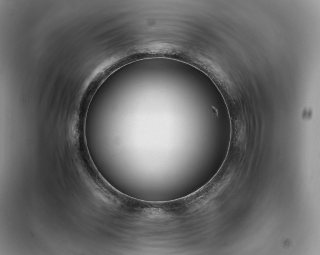 X0000102340392200808011145