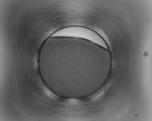 X0000102340393200808011145