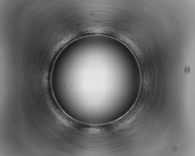 X0000102340394200808011145