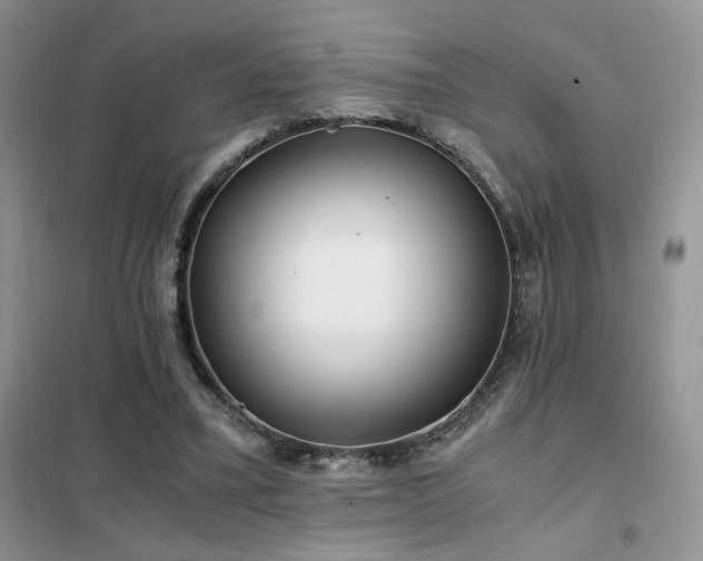 X0000102340395200808011145