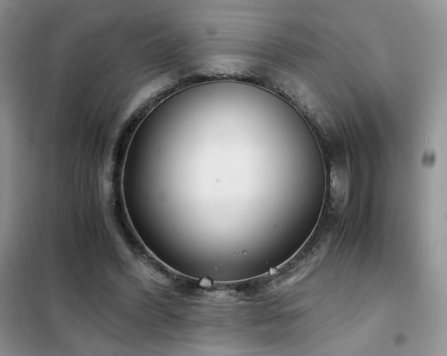 X0000102340396200808011145