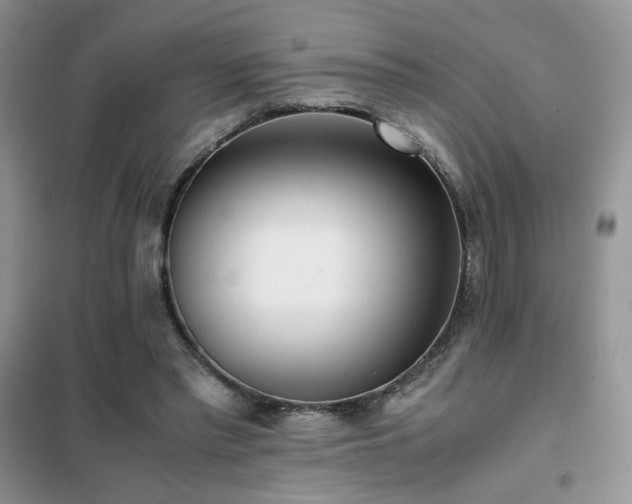 X0000102340397200808011145