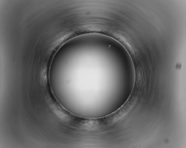 X0000102340398200808011145