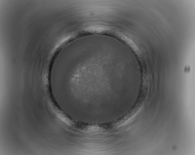 X0000102340399200808011145