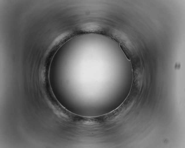 X0000102340400200808011145