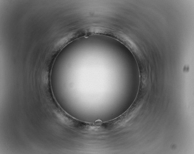 X0000102340401200808011145