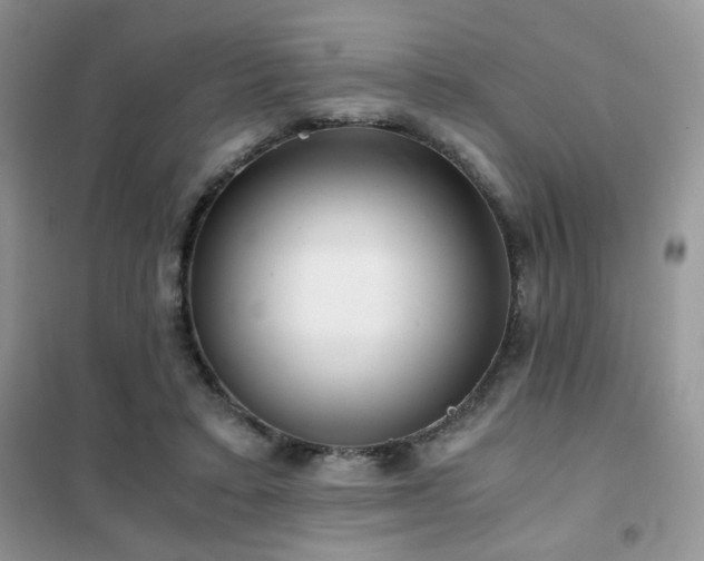 X0000102340403200808011145