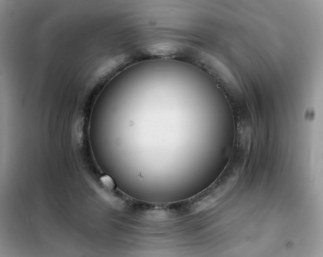 X0000102340404200808011145