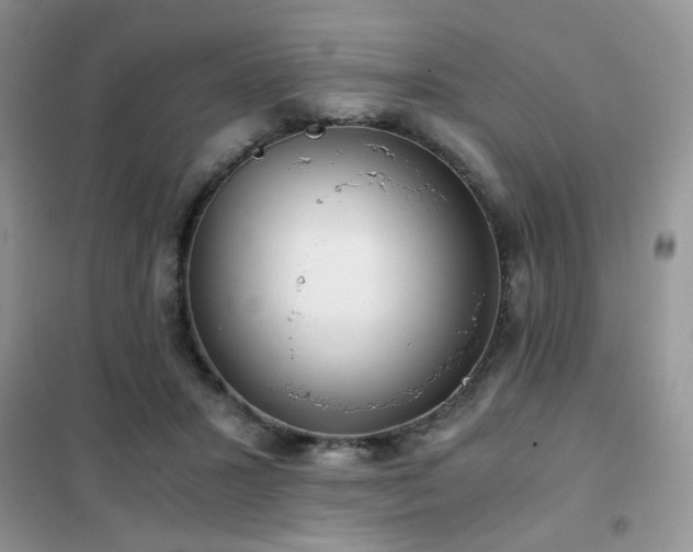 X0000102340407200808011145