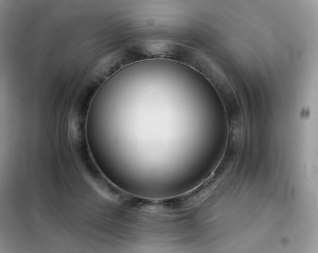 X0000102340408200808011145