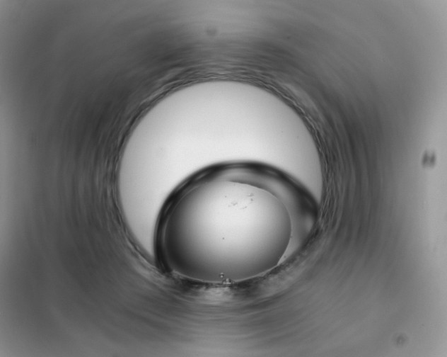 X0000102340409200808011145