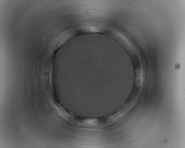 X0000102340410200808011145