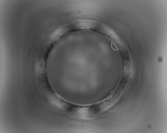 X0000102340411200808011145