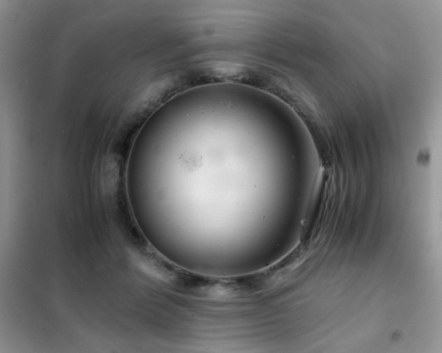 X0000102340412200808011145