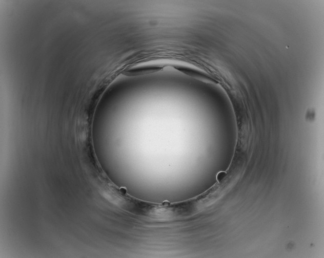 X0000102340413200808011145