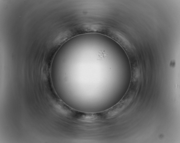 X0000102340414200808011145