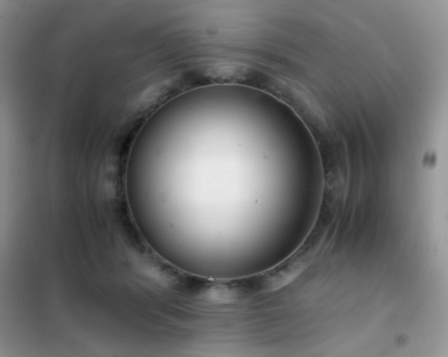 X0000102340416200808011145