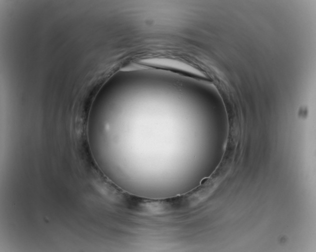 X0000102340417200808011145