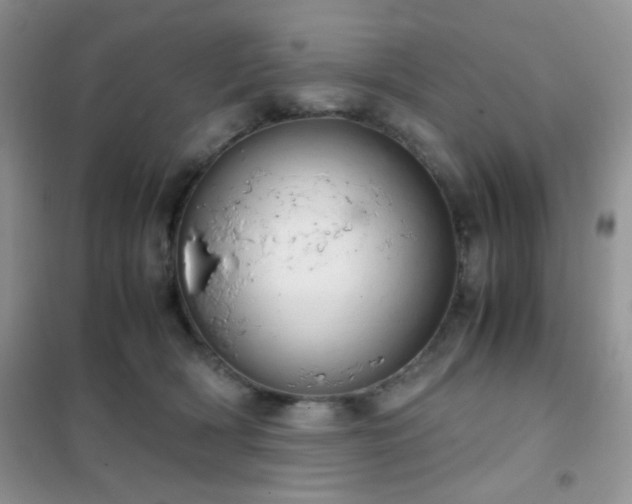 X0000102340418200808011145