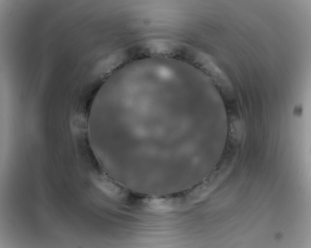 X0000102340419200808011145