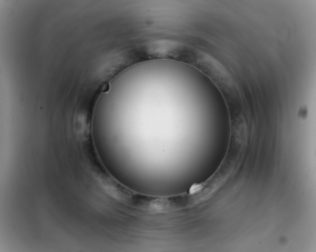 X0000102340420200808011145