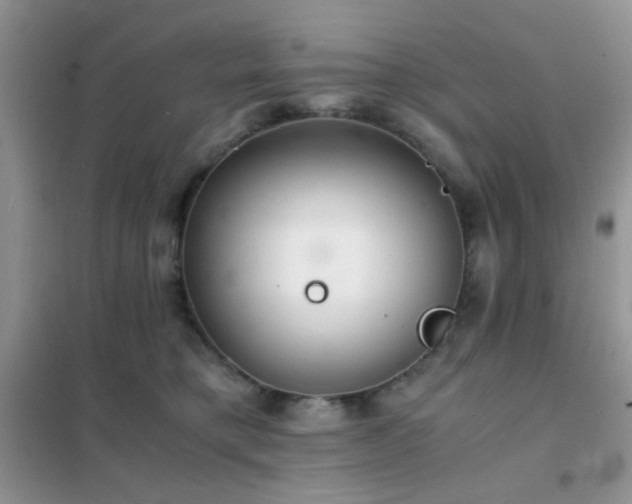 X0000102340421200808011145