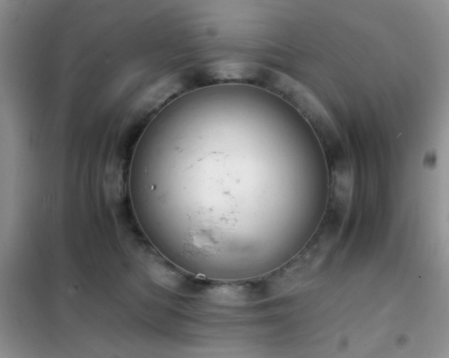 X0000102340422200808011145