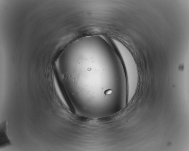 X0000102340423200808011145