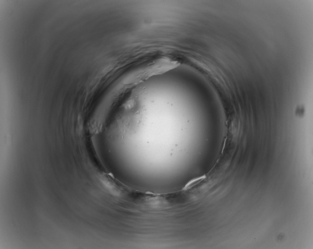 X0000102340424200808011145