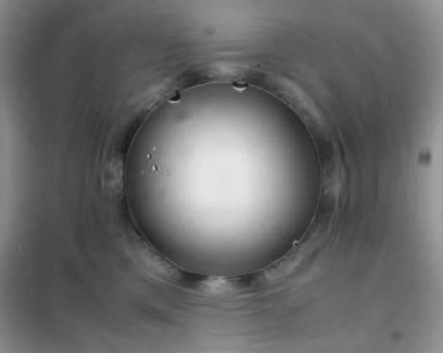 X0000102340425200808011145