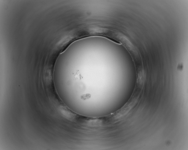 X0000102340426200808011145