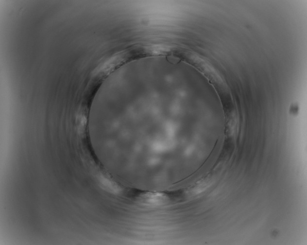 X0000102340427200808011145