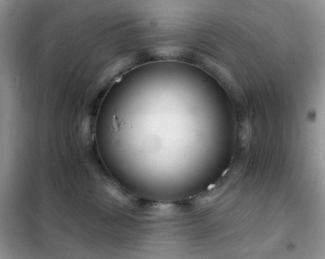 X0000102340428200808011145