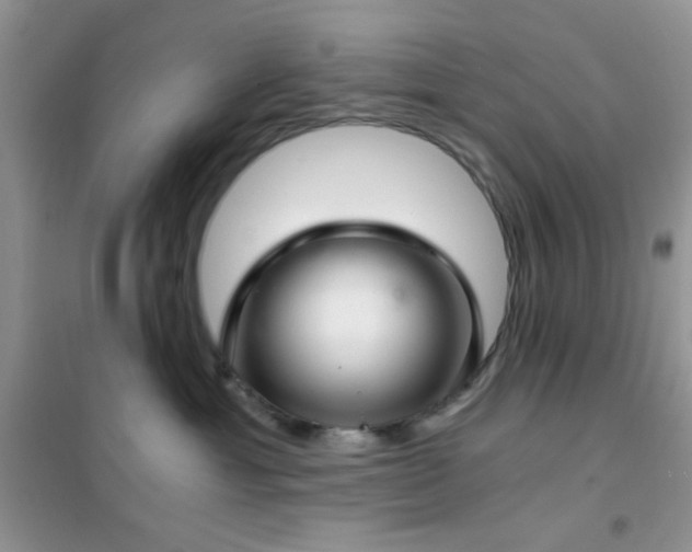 X0000102340429200808011145