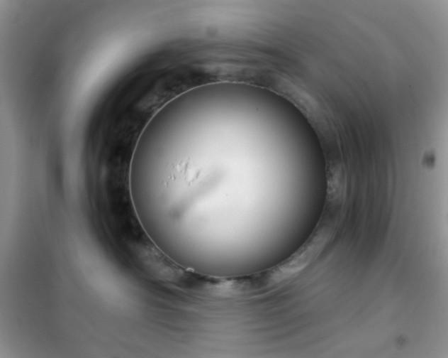 X0000102340430200808011145