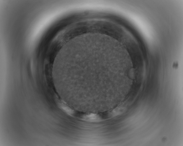 X0000102340431200808011145