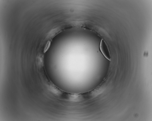 X0000102340432200808011145